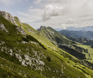 ～他にはないデザインを見つけました！～