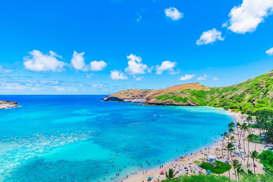 ハワイの景観